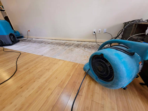 Professional Flood Damage Cleanup technician working in Beecher, MI